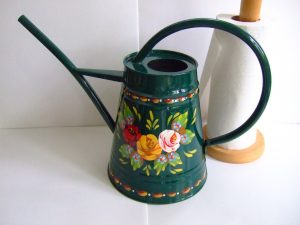 Small indoor watering can