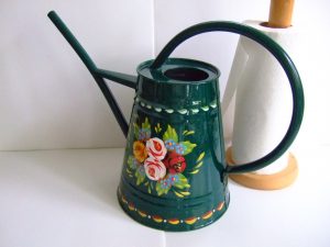 Contemporary Watering Can